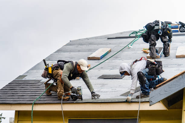 Professional Roofing technician working in Hills, IA